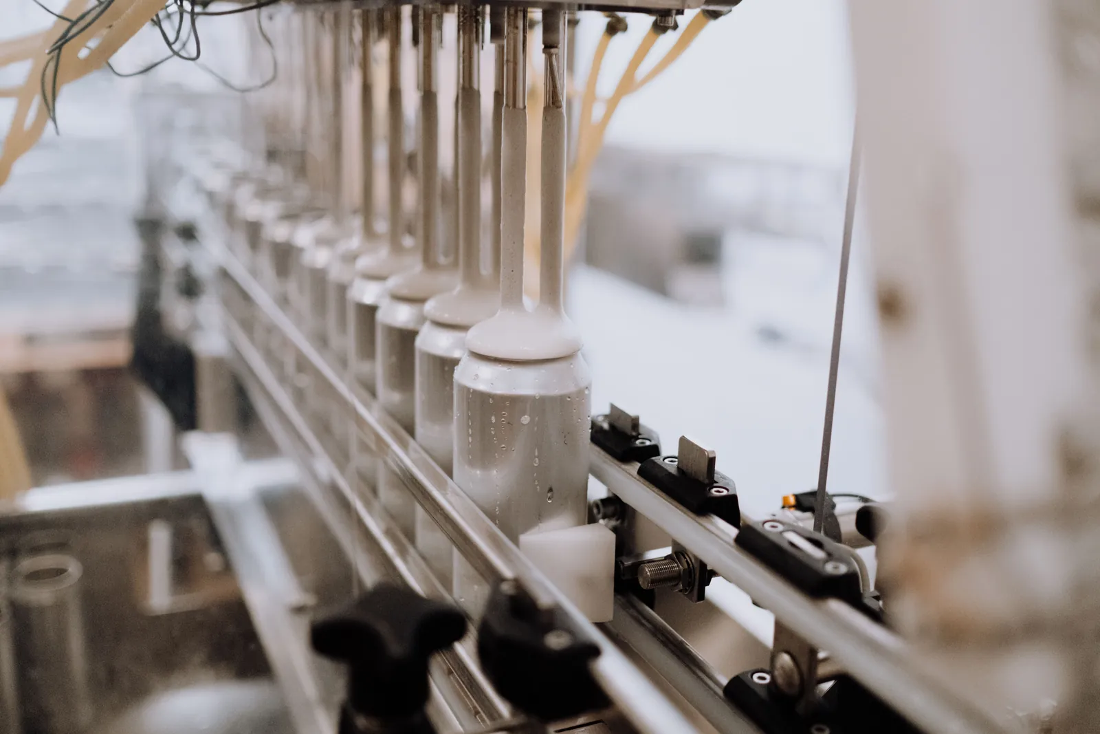 Unlabelled bottles moving along a production line